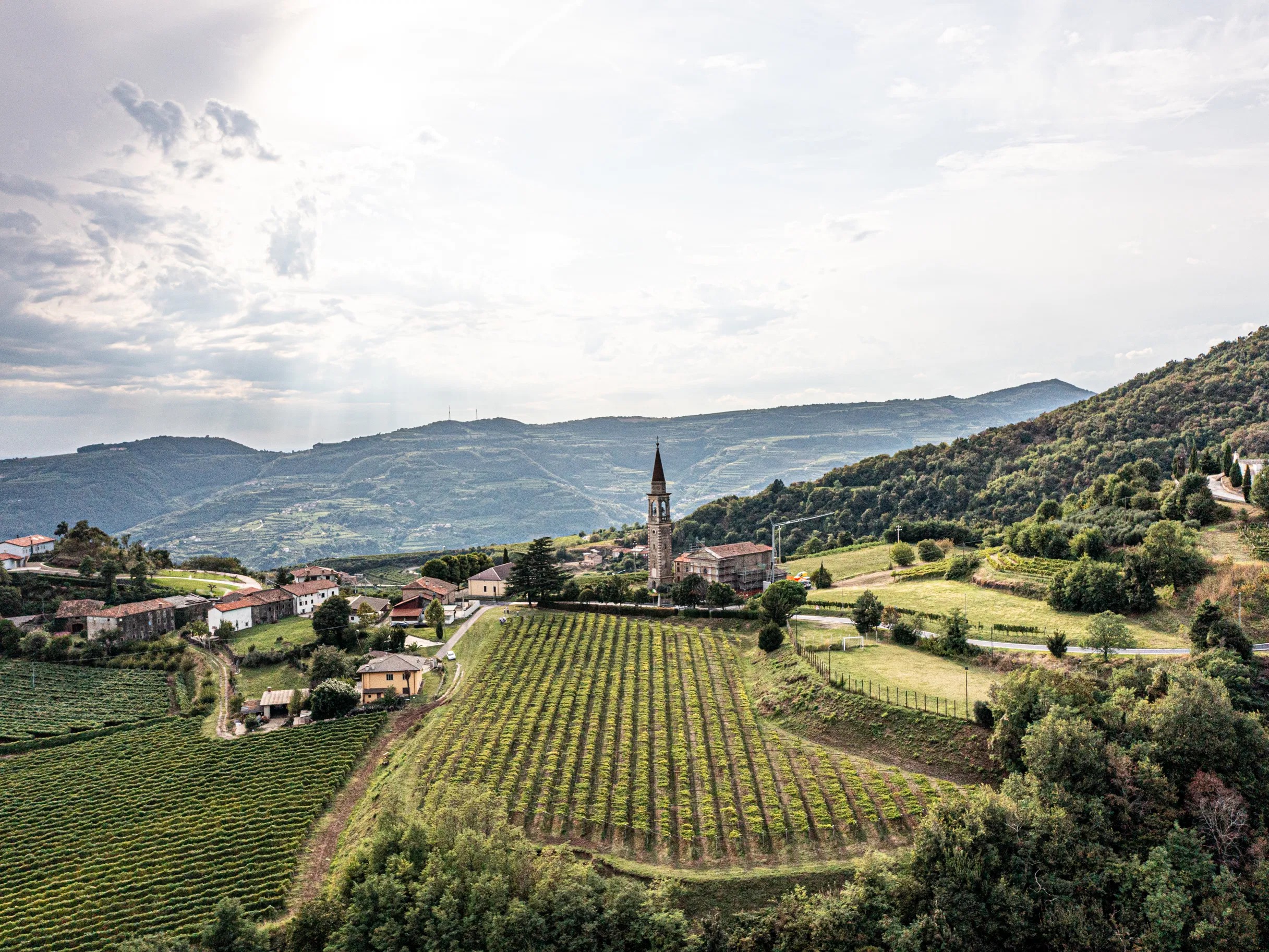 Brunilde di Menzione winery